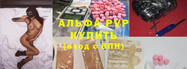 хмурый Аркадак